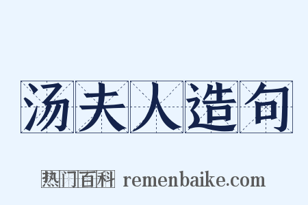 汤夫人造句是什么意思的图片